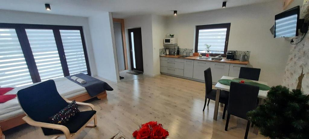 Apartamenty U Piotra - Studio Apartment