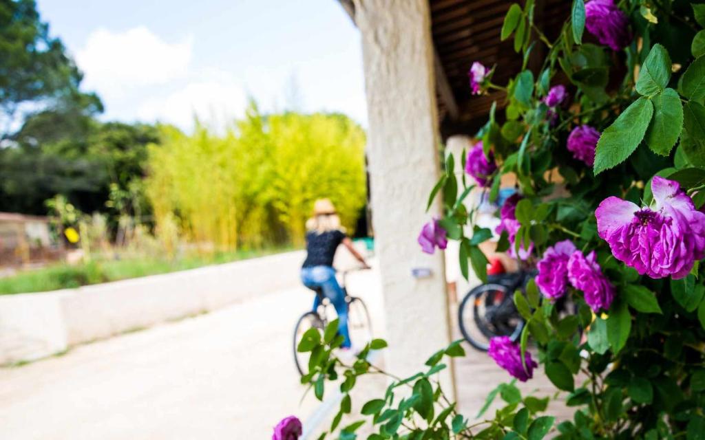 a woman riding a bike down a street with purple flowers at Camping Mille Étoiles in Labastide-de-Virac