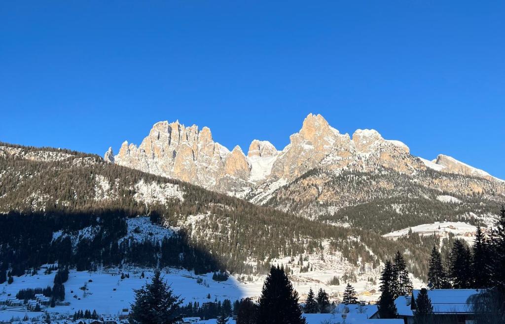 a snow covered mountain range with trees in the foreground at Sèn jan apartment 150 mt dalle piste in Pozza di Fassa