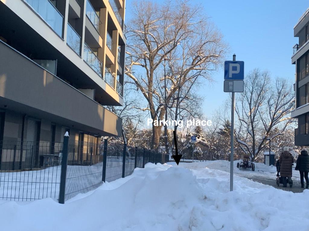 Pachecos' Garden - 5