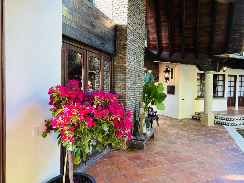 a pot of pink flowers on the side of a building at Villa Tatala hotel boutique in Tepoztlán