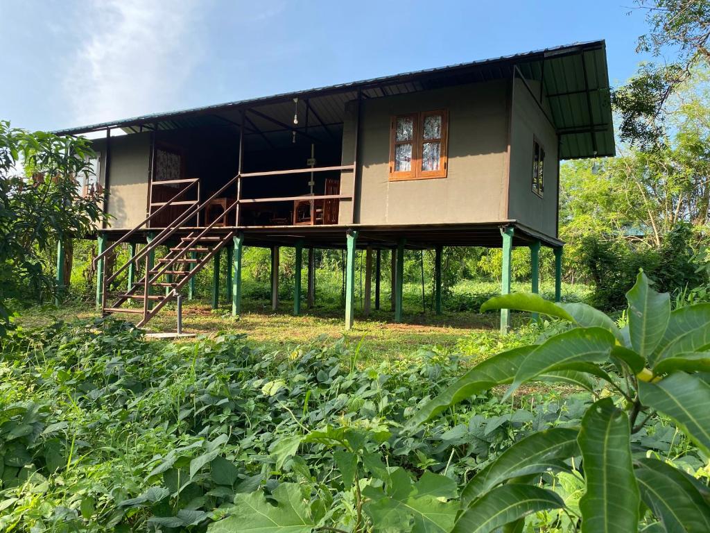 Zahrada ubytování mango villa wilpattu