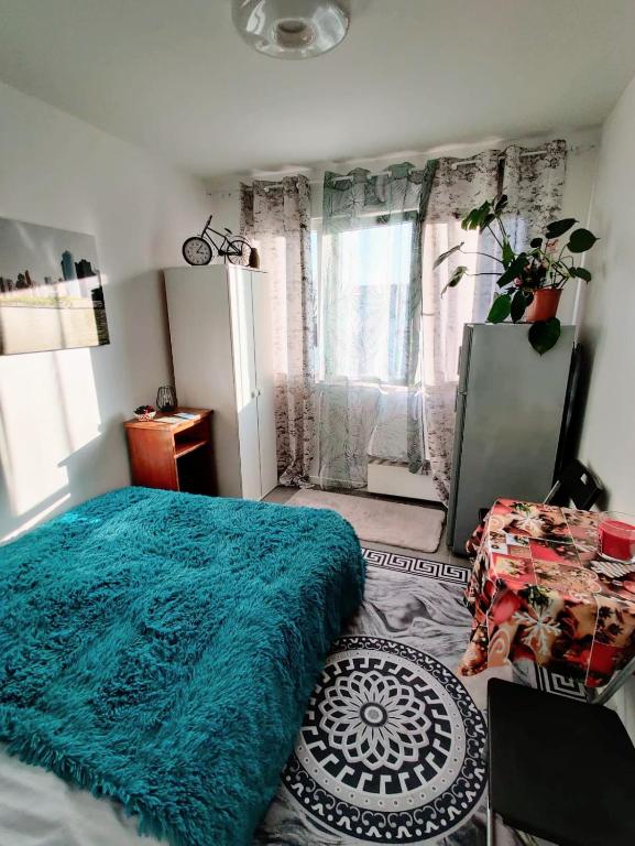 a bedroom with a green bed and a window at à 30 minutes de tour Eiffel in Montreuil