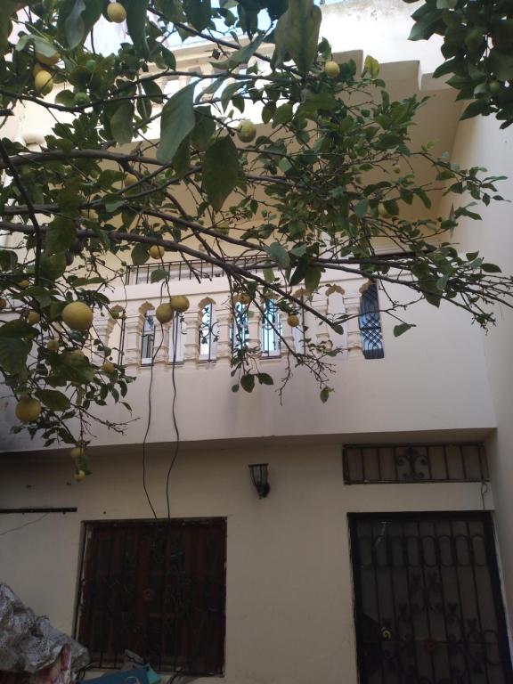 un edificio con un árbol delante de él en Karma, en Safí