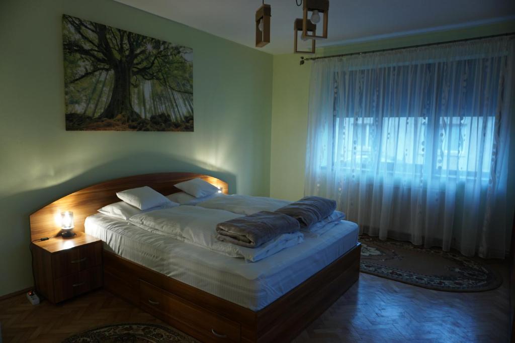 1 dormitorio con 1 cama en una habitación con ventana en Xili's Home sweet home en Brasov