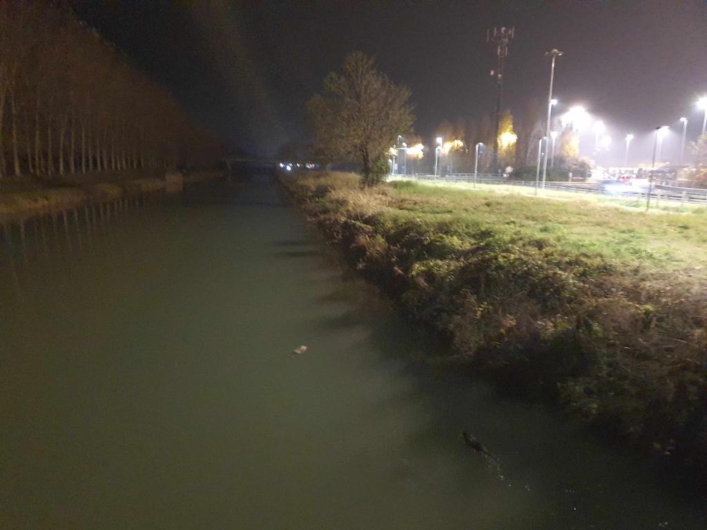 a body of water next to a field at night at La Bolgora Guesthouse in Novara