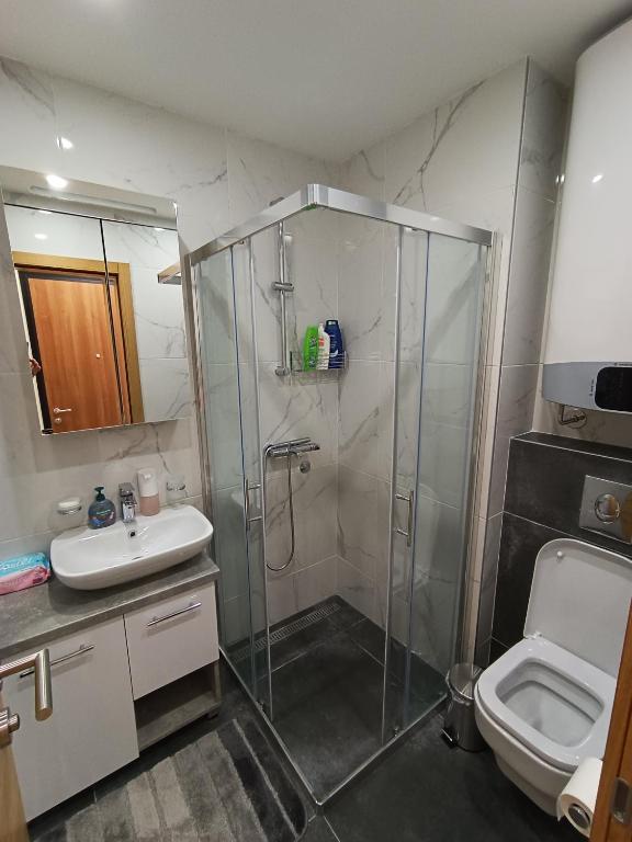 W łazience znajduje się prysznic, umywalka i toaleta. w obiekcie Apartman Meseceva dolina w mieście Divčibare