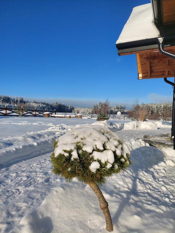 Domek nad Marychą - Zelwa v zime