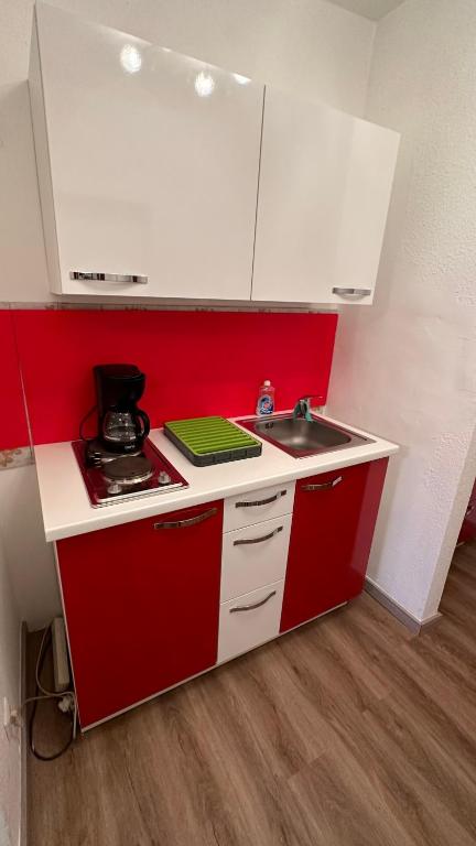 Kuchyň nebo kuchyňský kout v ubytování Gemütliche Seeblickwohnung Lara