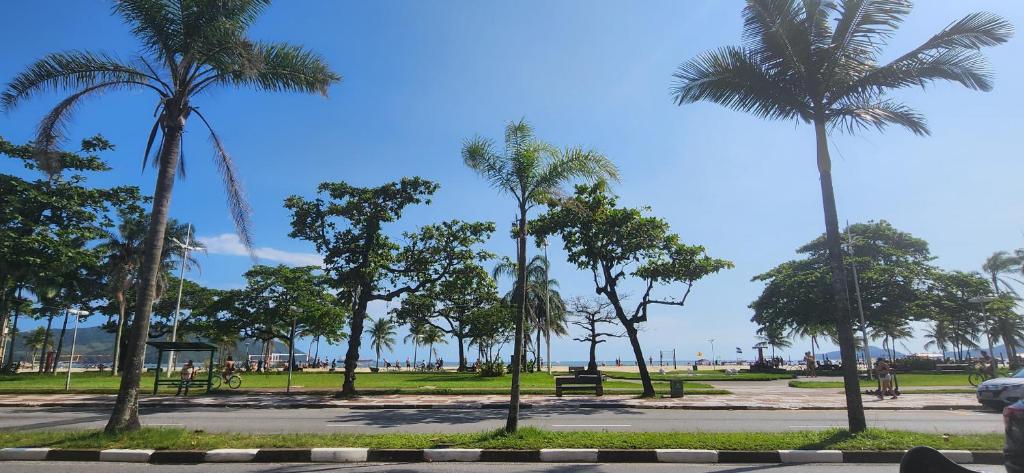 a group of palm trees in a park at Studio Frente à Praia Boqueirão in Santos