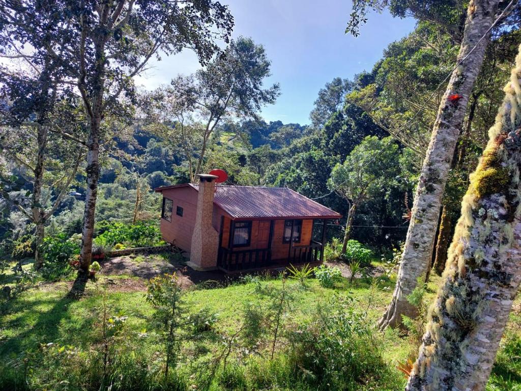 mały dom w środku lasu w obiekcie Las Bromelias Lodge w mieście Paso Macho