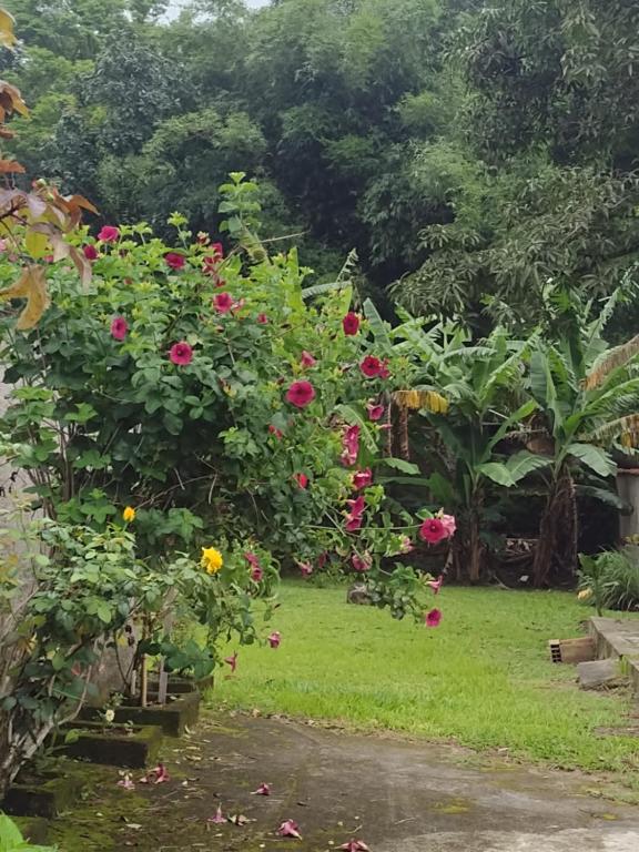 Rosane's casa