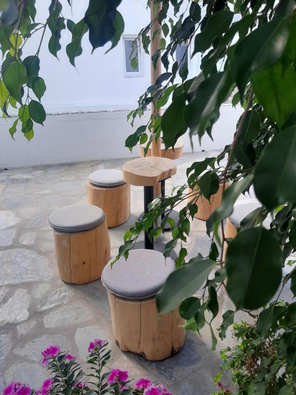 Zahrada ubytování Asteri Hotel