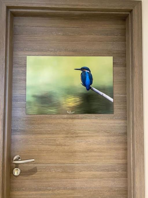 Fotografia z galérie ubytovania Le Martin Pêcheur - Appartement v destinácii Gérardmer