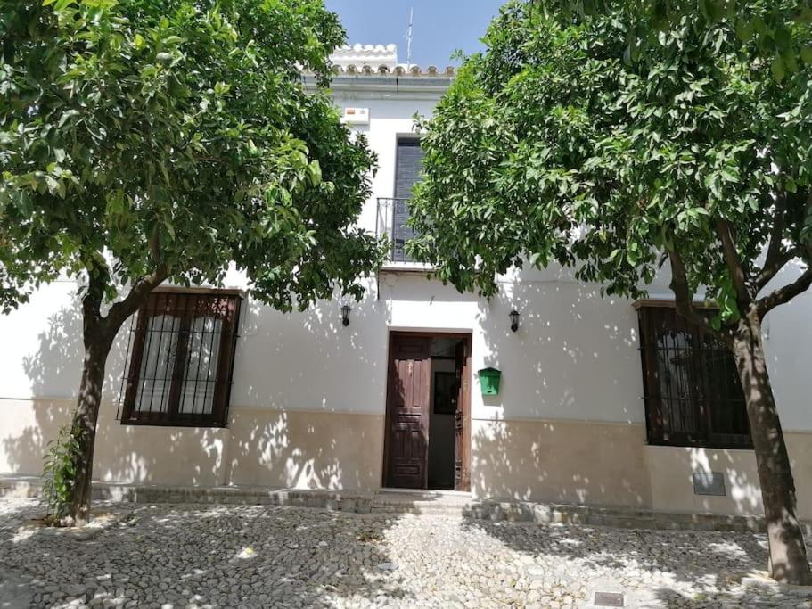 a white building with two trees in front of it at Casa Rural Torre del Agua. Un lugar con encanto. in Osuna