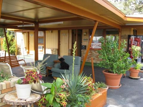 Posezení v ubytování Walnut Forest Motel