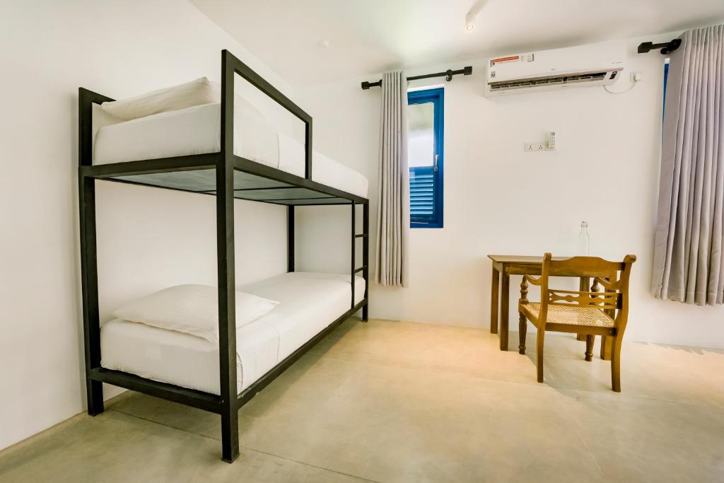 Urchin Unawatuna - 11