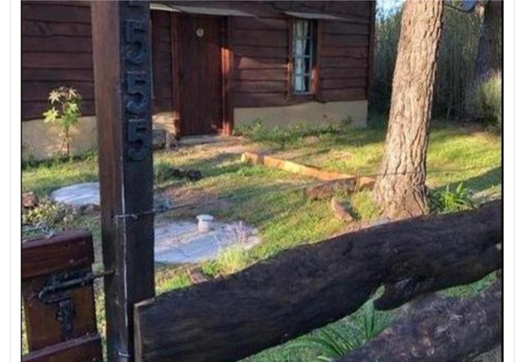 Cabaña en bosque de pinos