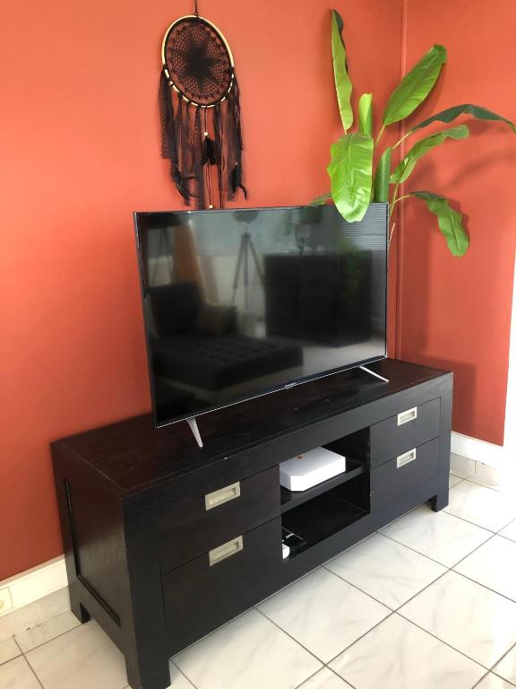 TV a/nebo společenská místnost v ubytování DUCHARMOY LODGES