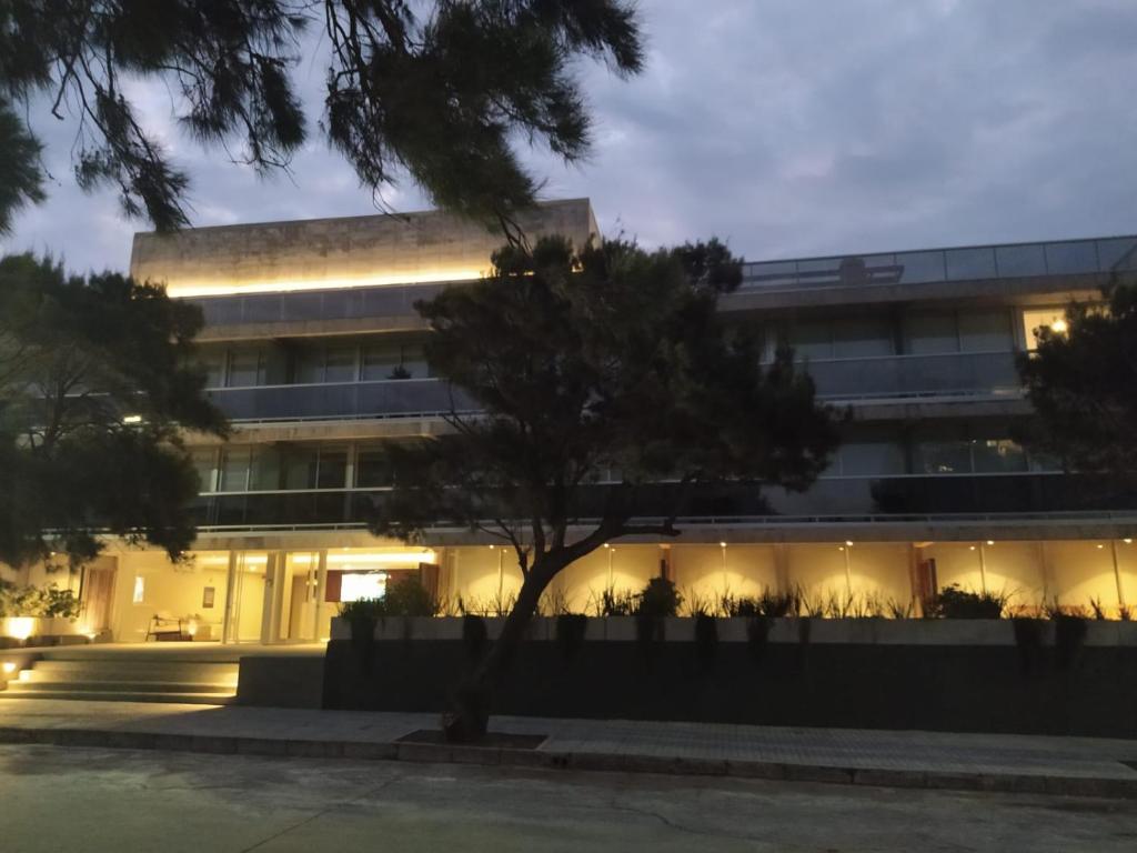 un edificio iluminado con un árbol delante de él en Punta del Este, en Punta del Este