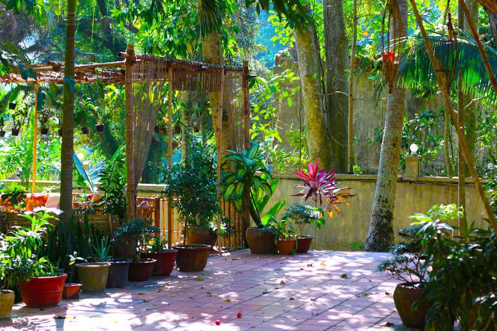 a garden with a bunch of potted plants at Casa Kep Eco Bed & Breakfast in Kep