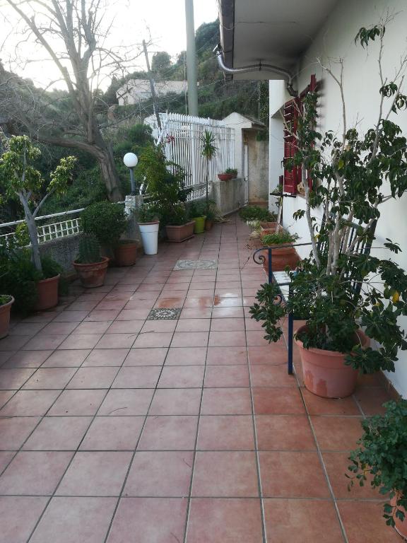 un patio avec des plantes en pot et un banc dans l'établissement La casa delle delizie, à Messina