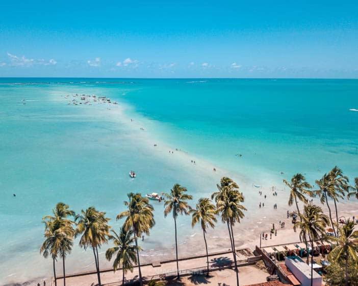 plaża z palmami i ludźmi w wodzie w obiekcie Casa de praia Barra grande w mieście Maragogi