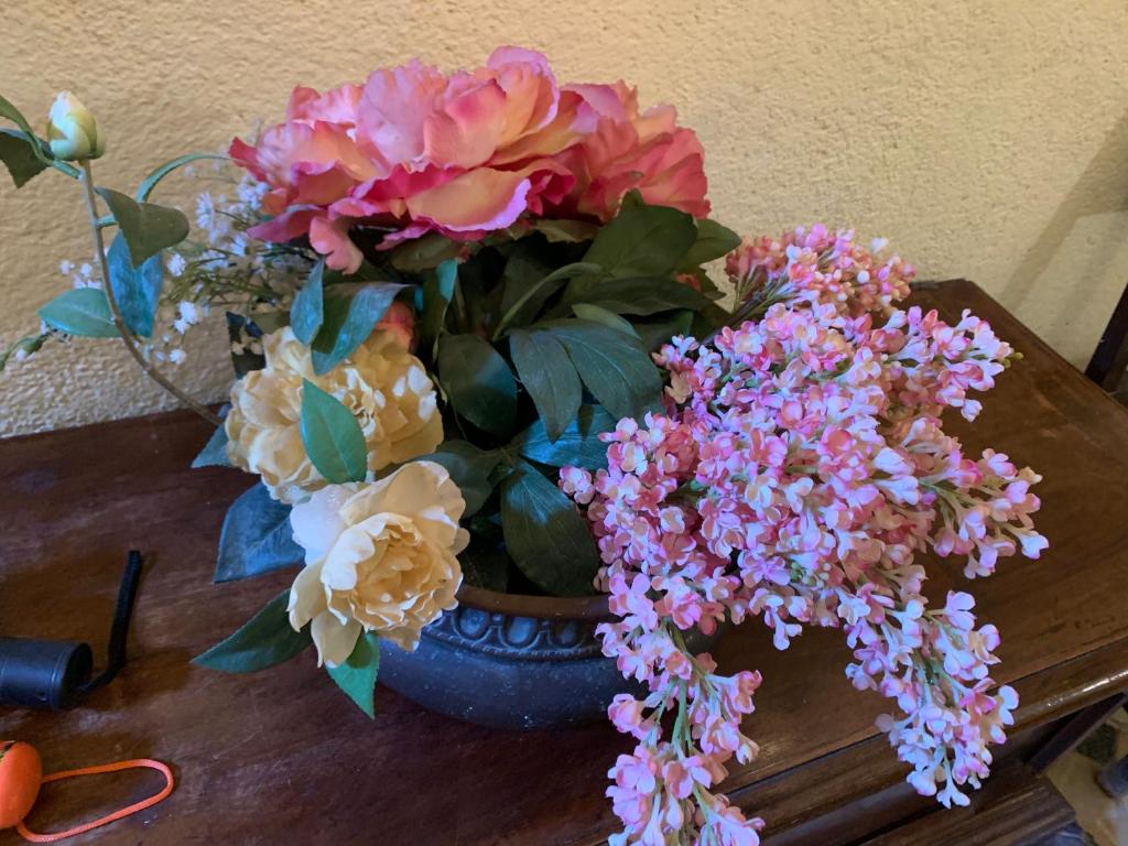 Grimaldi Apartments San Marco & Castello - 18