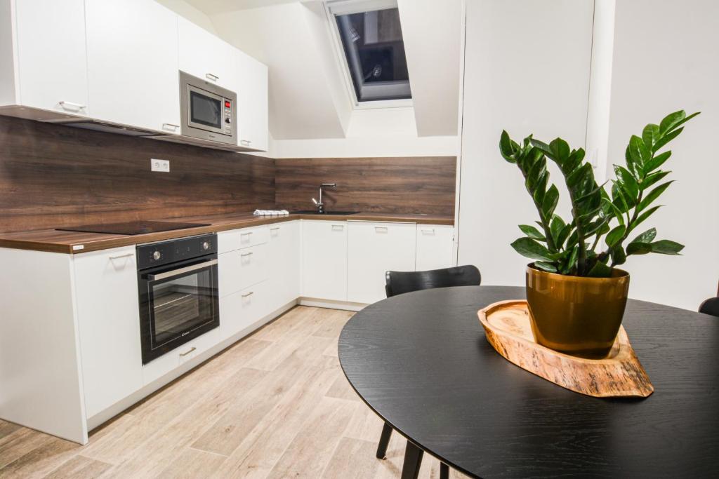 Kuchyň nebo kuchyňský kout v ubytování Apartmány Victory Residence