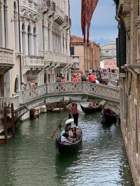 Grimaldi Apartments San Marco & Castello - 19