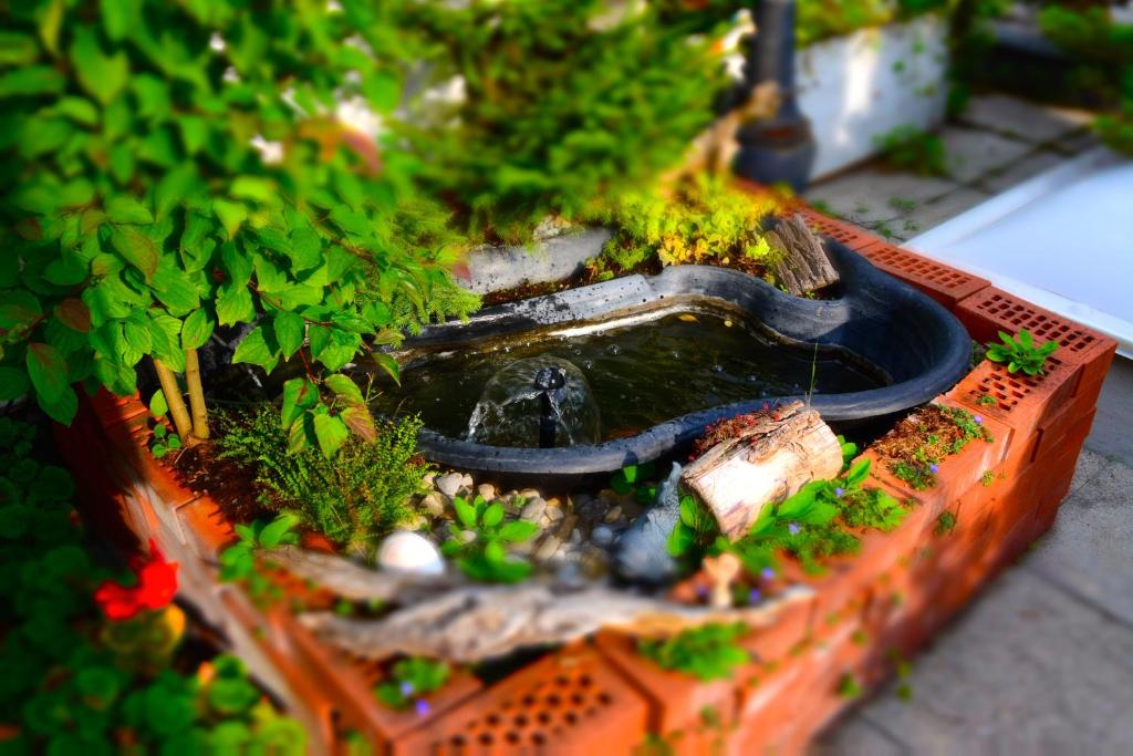 Zahrada ubytování BnB Haus Weibel