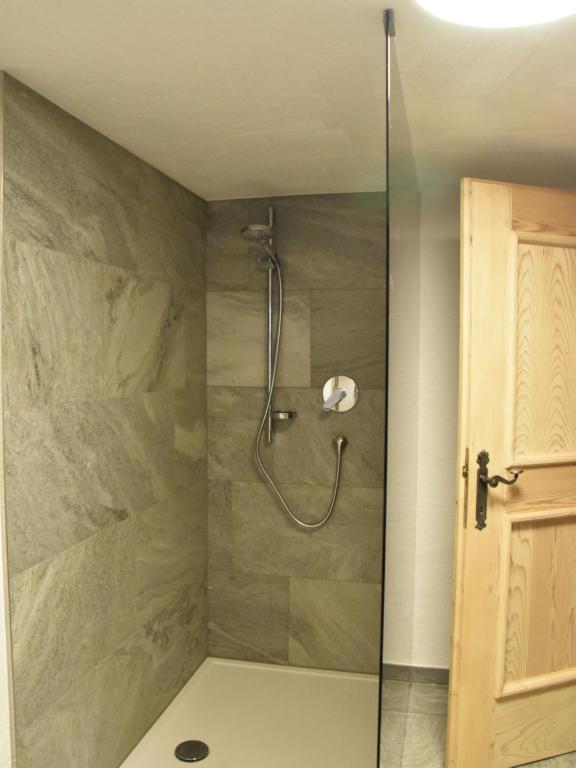 a shower with a glass door in a bathroom at Apartment Appartment Wiesberg by Interhome in Niedernsill