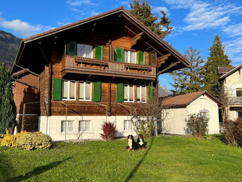 two dogs are standing in front of a house at Holiday Home Chalet Dori by Interhome in Interlaken
