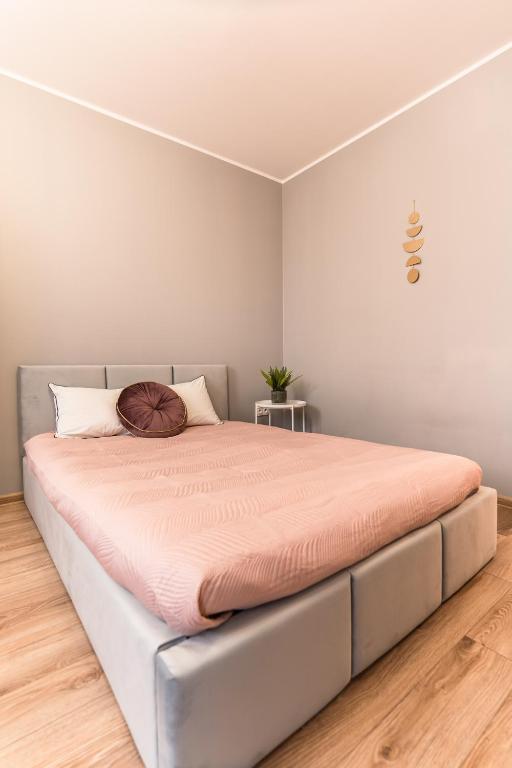 Pure Rental Apartments - 12