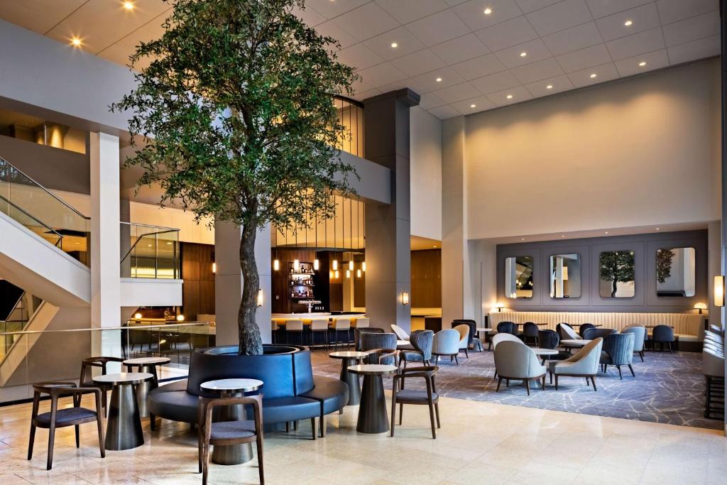 莫里斯敦的住宿－莫里斯敦凱悅酒店，大堂设有桌椅和一棵树