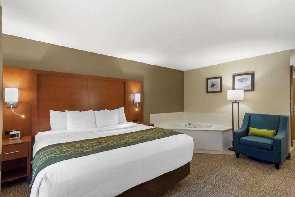 Comfort Inn & Suites - near Robins Air Force Base Main Gate - King Room - Non Fumatori