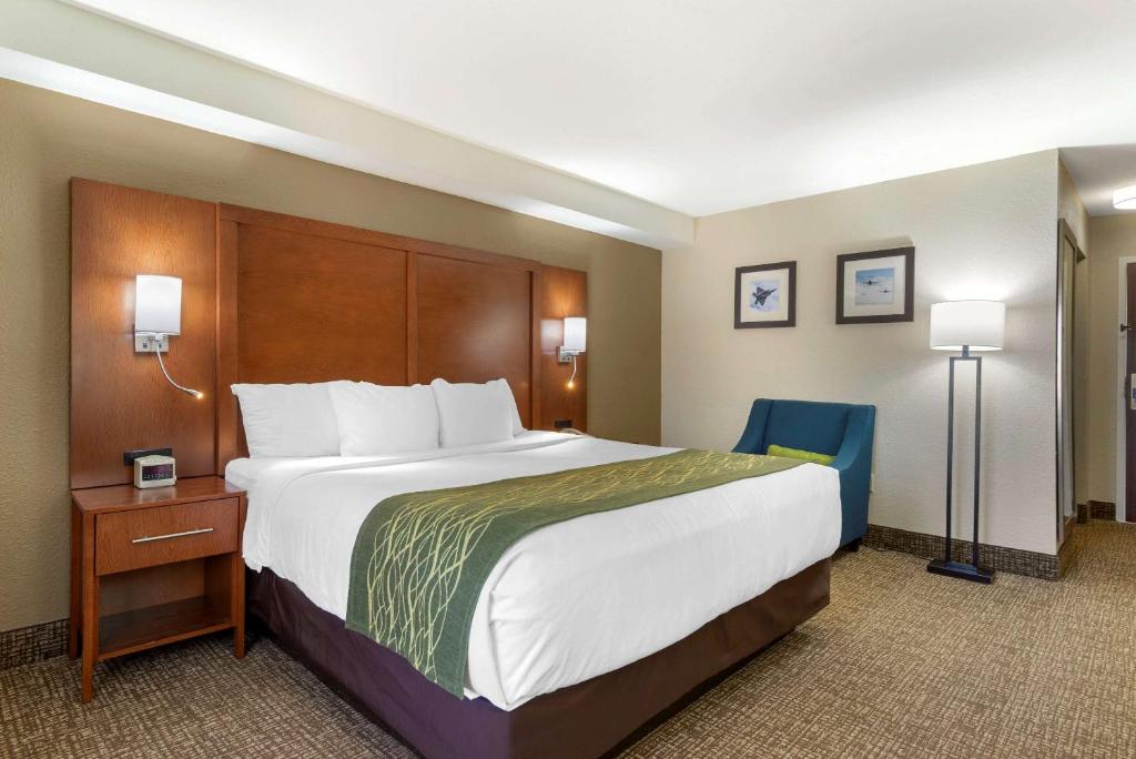 Comfort Inn & Suites - near Robins Air Force Base Main Gate - Standard King Room - Non Fumatori