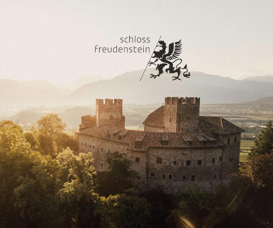 an image of a castle with a witch on a horse on top at Schloss Freudenstein in Appiano sulla Strada del Vino