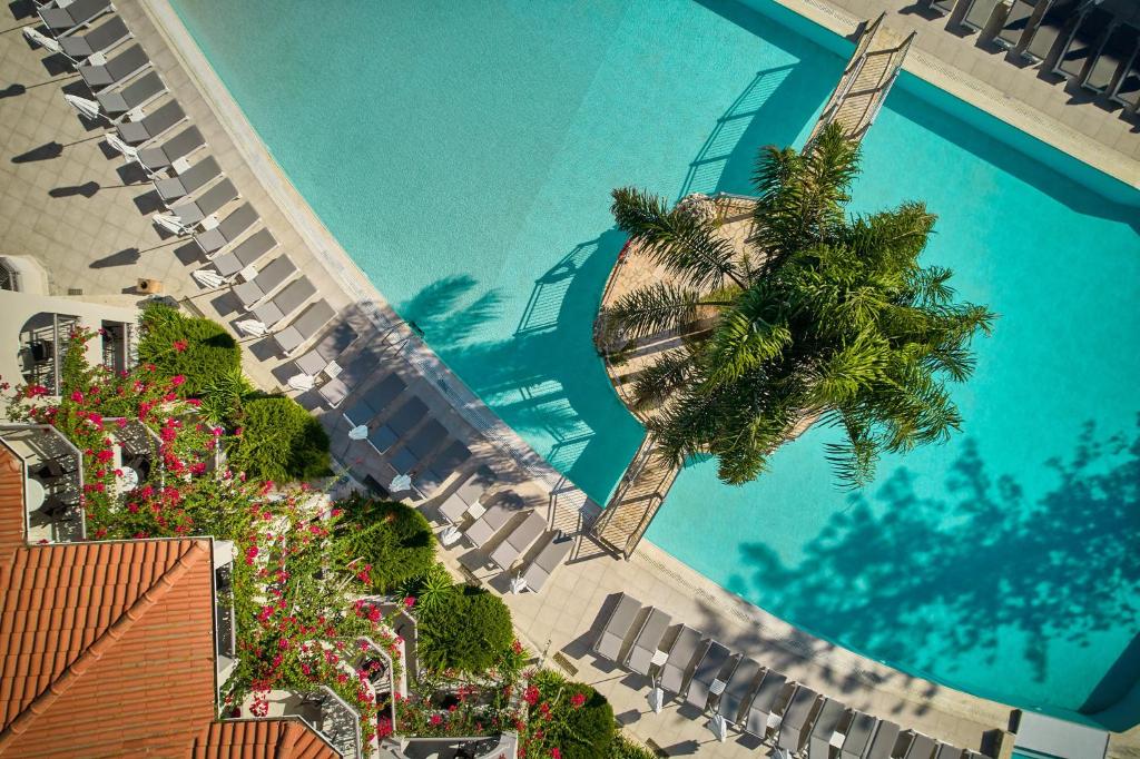 an overhead view of a swimming pool with a palm tree at Tsilivi Beach Hotel Zakynthos in Tsilivi