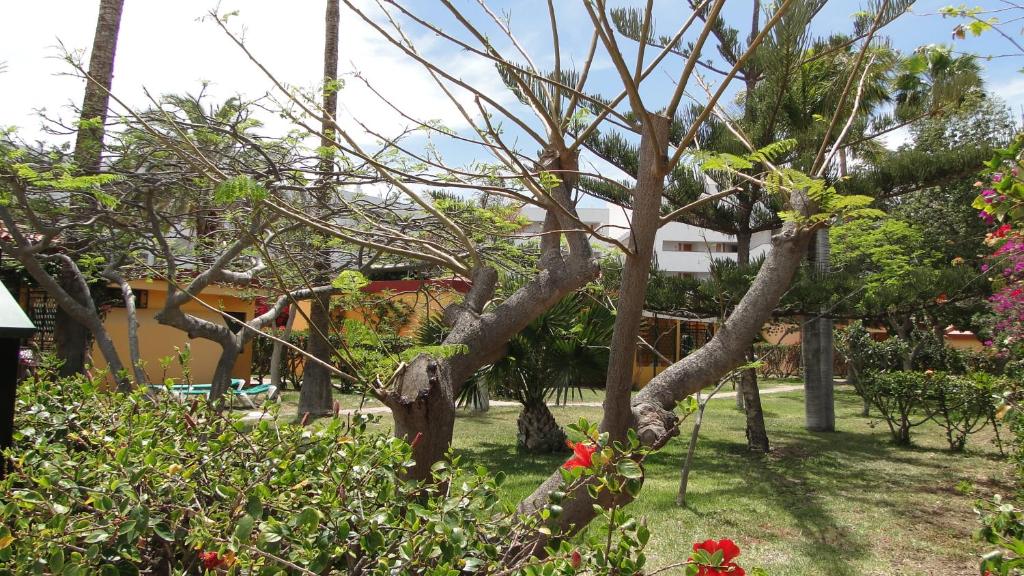 Bungalows Artemisa Gay Men Only - 14