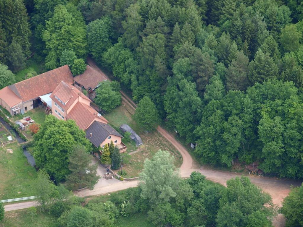 an overhead view of a house in the middle of a forest at Spacious gîte for 6 persons in Hanviller, Mosel in Hanviller