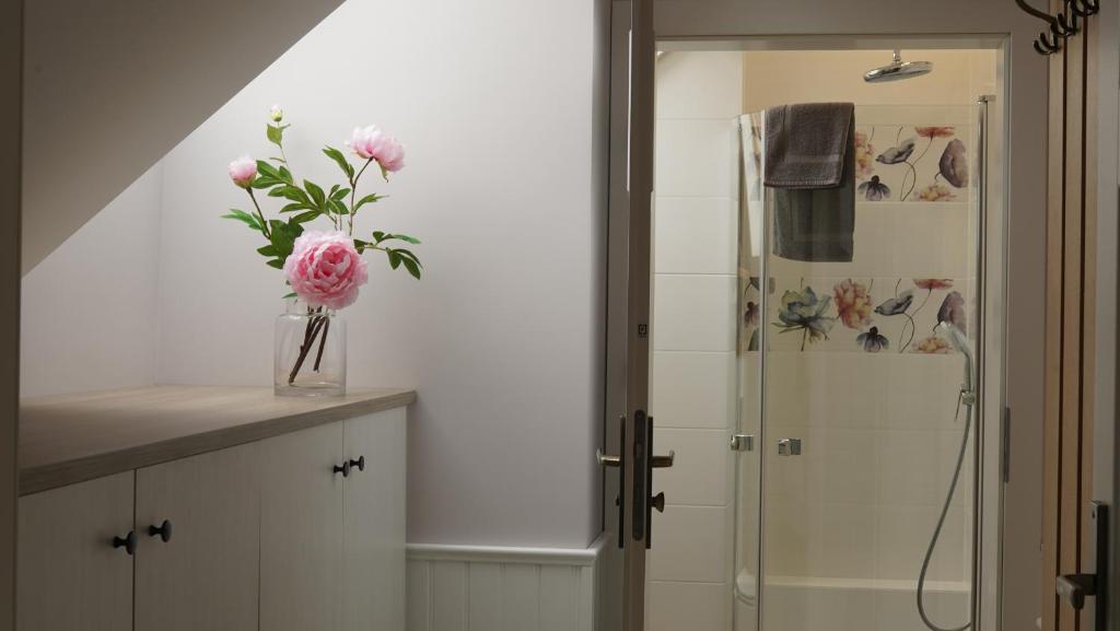 AURA Centrum Wypoczynkowo-Rekreacyjne - Appartement
