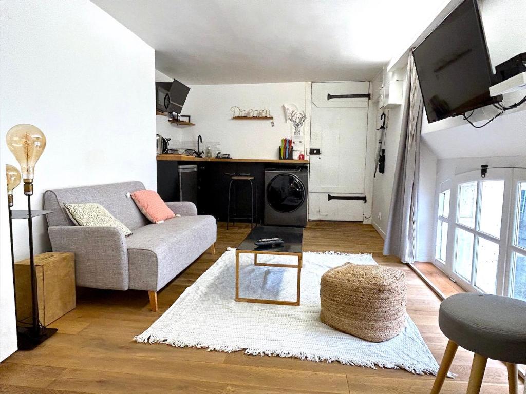 Televízia a/alebo spoločenská miestnosť v ubytovaní Loft Varenne