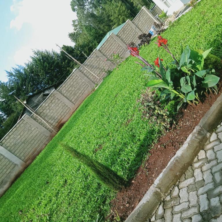 Zahrada ubytování Zoe Homes 1br and 2br Apartment Greypoint 406