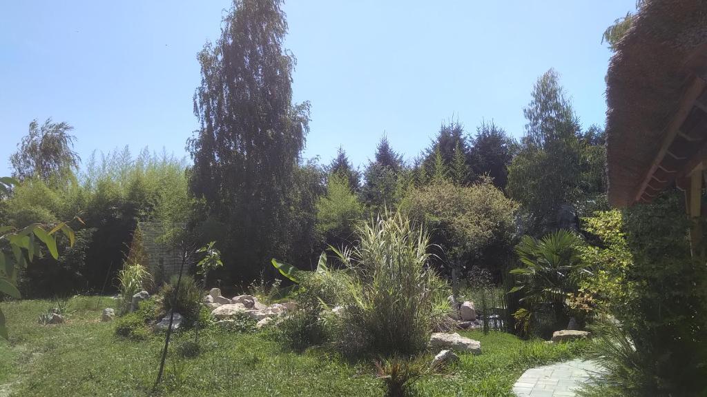 a garden with trees and plants on a field at Camping with your own tent, Camp Eucalyptus in Kapele
