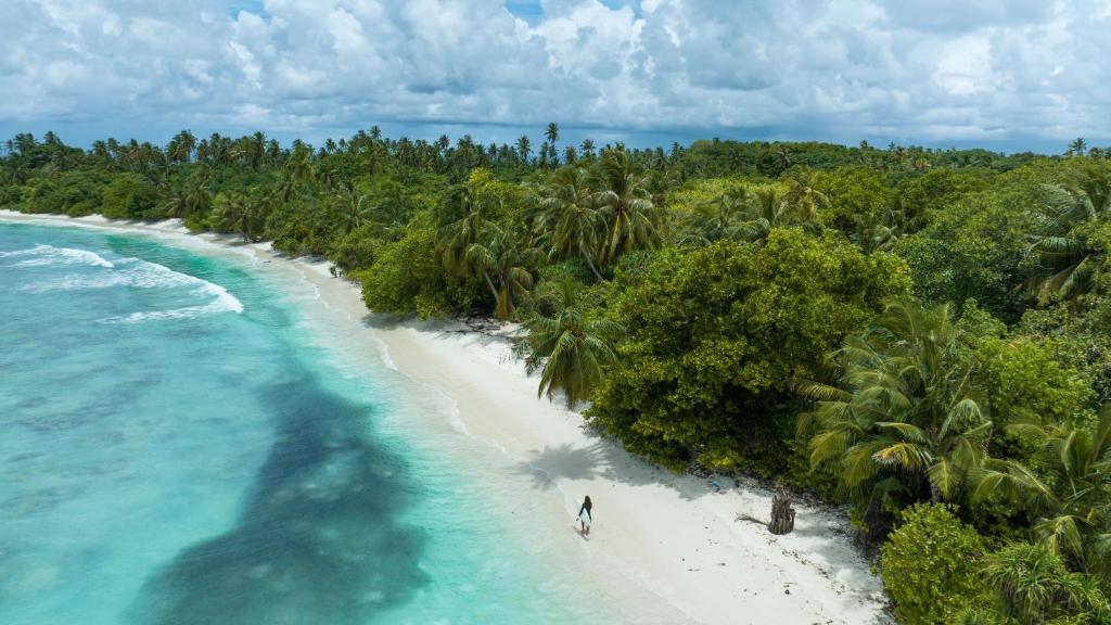 an aerial view of a beach with palm trees at Stay Mikado in Thimarafushi