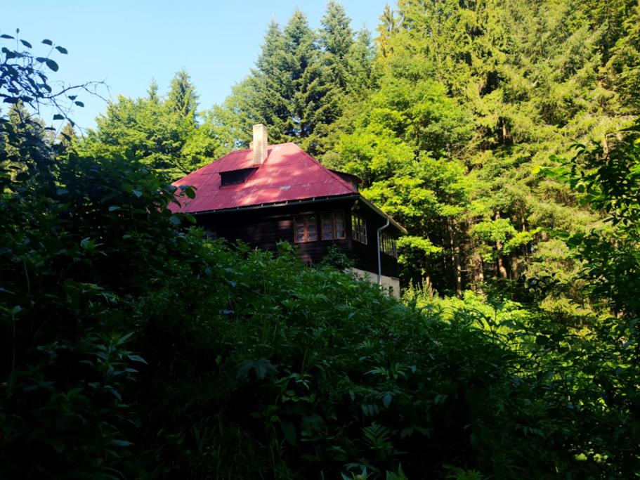 une petite maison avec un toit rouge dans les bois dans l'établissement Horská chata Jiřinka, à Valašské Klobouky