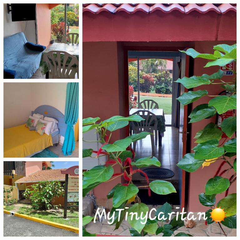 Foto dalla galleria di My Tiny Caritan- Petit coin de paradis- Bungalow de vacances- jardin, plage, piscine attenante a Sainte-Anne