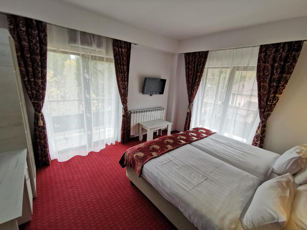 Hotel Rudo Forest View Predeal - Housity
