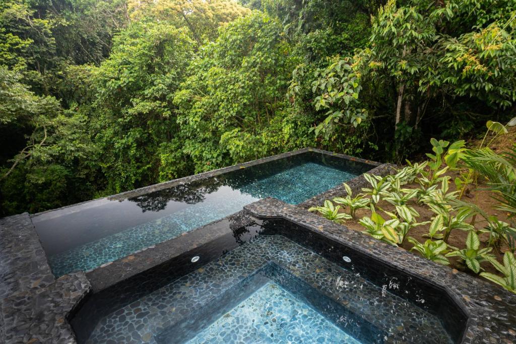 a swimming pool in the middle of a forest at Bio Habitat Hotel in Armenia